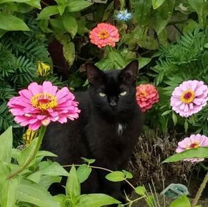 Meet your Posher, Mary